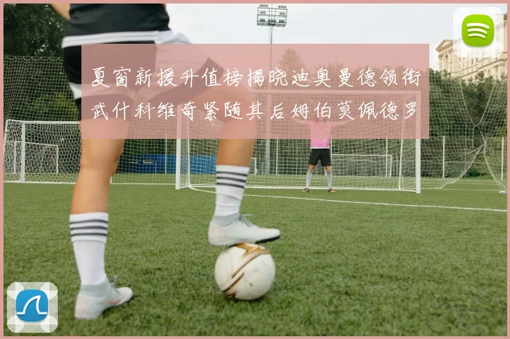 夏窗新援升值榜揭晓迪奥曼德领衔武什科维奇紧随其后姆伯莫佩德罗表现抢眼